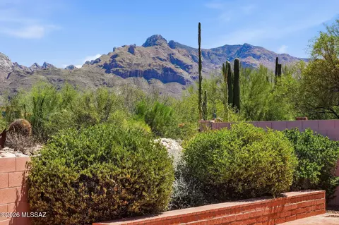 529 E Squirrel Tail Dr, Tucson, AZ 85704 photo 9