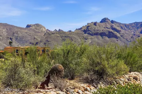 529 E Squirrel Tail Dr, Tucson, AZ 85704 photo 32