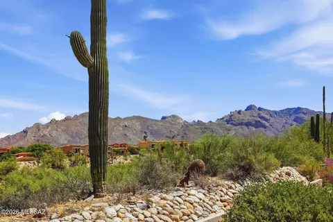 529 E Squirrel Tail Dr, Tucson, AZ 85704 photo 31