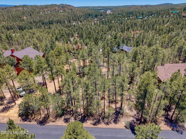 1101 E Pine Oaks Dr #46-47, Show Low, AZ 85901
