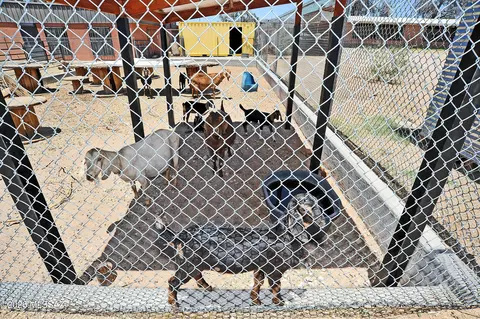 Other - 3651 E 33rd St, Tucson, AZ 85713 photo 12 of 14
