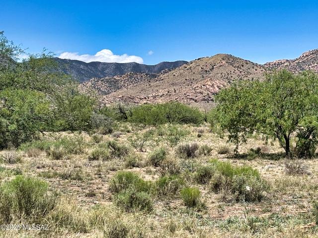 Single Lot Zinnia Street #5, Pearce, AZ 85625