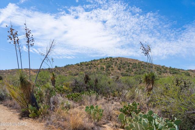lot W D W Paseo Redondo Cir, Oracle, AZ 85623