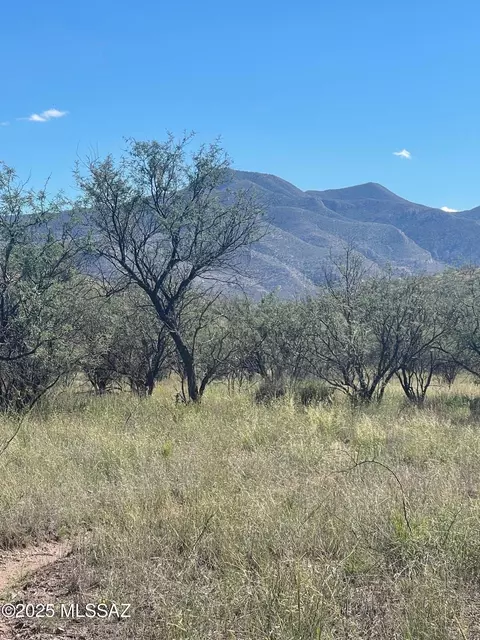 106 Tanglehead Ln #6, Patagonia, AZ 85624