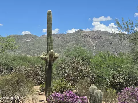Exterior - 11743 E Limberlost Rd, Tucson, AZ 85749 photo 5 of 8