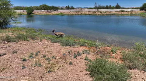 tbd S Curtis Flats Rd, Saint David, AZ 85630 photo 6