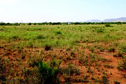 Other - 2 E 14 Acres E Orange St #2/3, Pearce, AZ 85625 photo 13 of 15