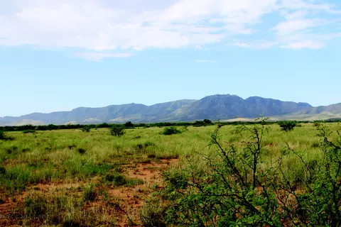Other - 2 E 14 Acres E Orange St #2/3, Pearce, AZ 85625 photo 1 of 15