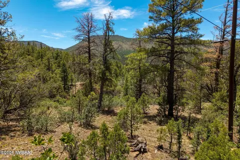 34 County Road 2279, Nutrioso, AZ 85932