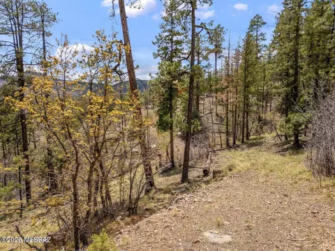9 County Rd, Alpine, AZ 85920 photo 2