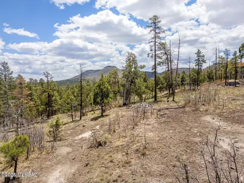 9 County Rd, Alpine, AZ 85920 photo 4