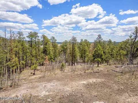 9 County Rd, Alpine, AZ 85920 photo 3