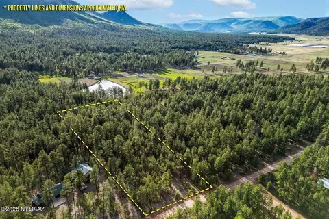 15 County Road 2083, Alpine, AZ 85920