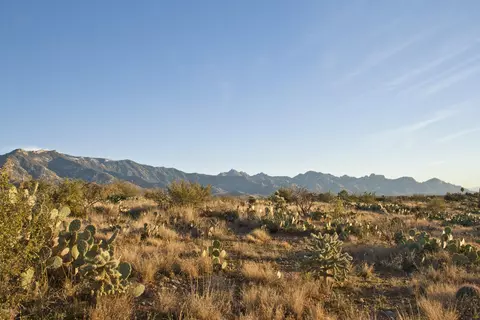 0 E Calle Rosa Linda #3, Tucson, AZ 85739