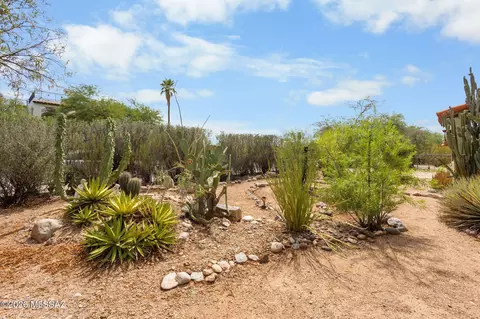 Exterior - 1533 E Spring St, Tucson, AZ 85719 photo 8 of 10