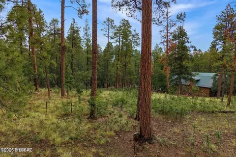 8 County Road 2070, Alpine, AZ 85920