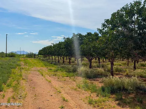 Other - 0 E Phillips Rd 40 Acres #-, Willcox, AZ 85643 photo 3 of 19