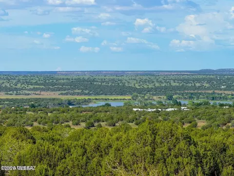 8087 Mustang Ln 20 Acres, Show Low, AZ 85901