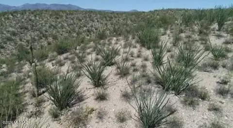 Hwy 77, San Manuel, AZ 85631