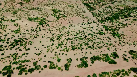 Other - 10 17 Acre Blackhawk #3, Douglas, AZ 85607 photo 3 of 14