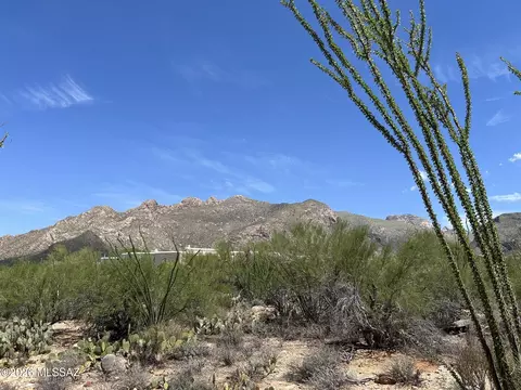 1458 E Desert Garden Dr #142, Tucson, AZ 85718
