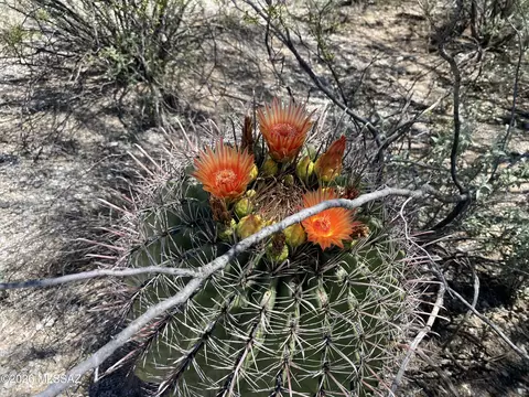 Other - 5 E Acres E Kleindale Rd #-, Tucson, AZ 85749 photo 15 of 16