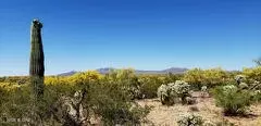 21817 S Escrito Rd #0, Tucson, AZ 85739