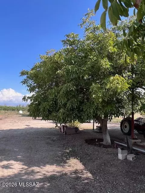 Other - 6044 W High Desert Rd, Willcox, AZ 85643 photo 9 of 15