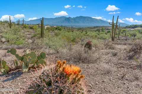 5810 N Abington Rd #113, Tucson, AZ 85743
