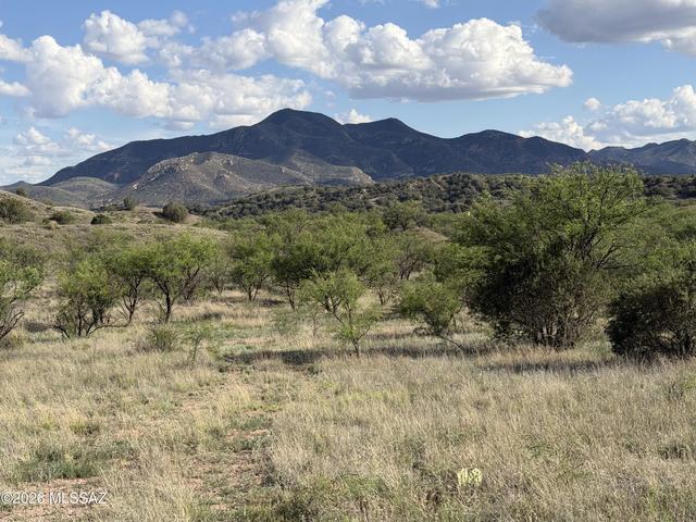 600 Dropseed Ct #34, Patagonia, AZ 85624