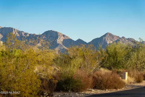 14191 N Giant Saguaro Pl #23, Oro Valley, AZ 85755