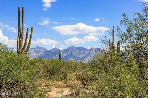 1906 W Mountain Mirage Pl #161, Oro Valley, AZ 85755
