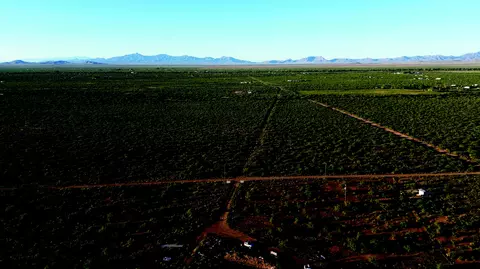 4 E 02 Acres E Bumble Bee Rd #A, Pearce, AZ 85625 photo 6