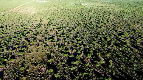 4 E 02 Acres E Bumble Bee Rd #C, Pearce, AZ 85625 photo 5