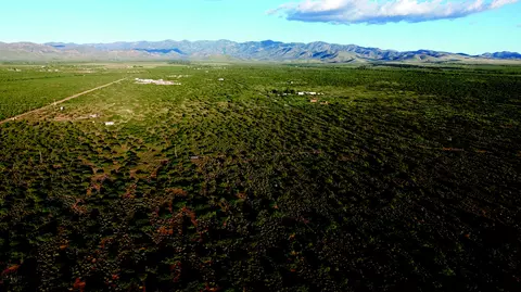 4 E 02 Acres E Bumble Bee Rd #C, Pearce, AZ 85625 photo 6