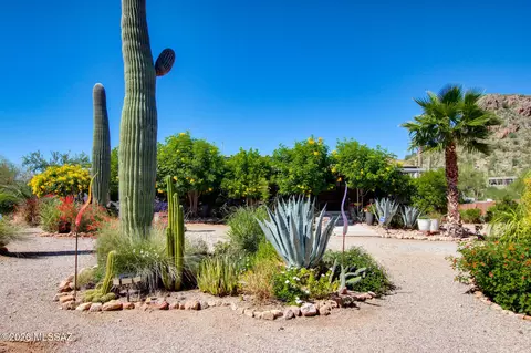 6605 N Dimitri Ln, Tucson, AZ 85743