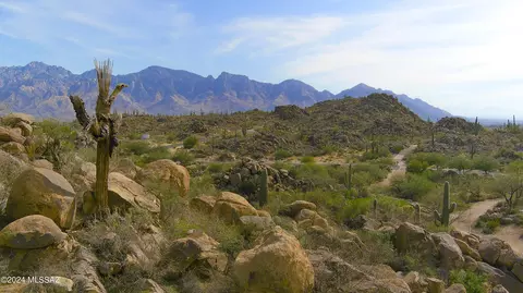 656 W Granite Gorge Dr #337, Oro Valley, AZ 85755