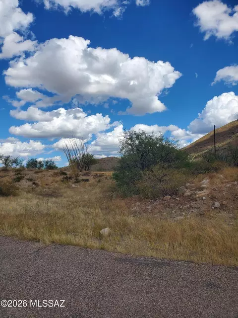 1690 Goce Ct #12, Rio Rico, AZ 85648