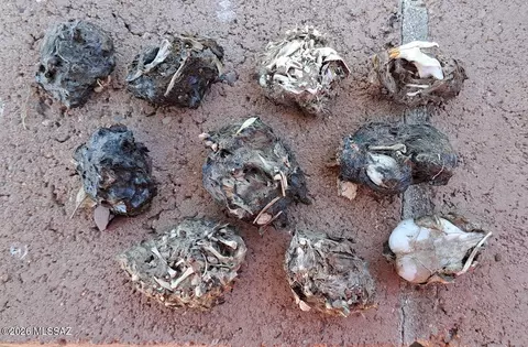 Other - 1011 E Irene St, Sunsites, AZ 85625 photo 12 of 12