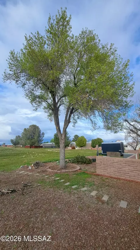 Exterior - 1011 E Irene St, Sunsites, AZ 85625 photo 6 of 12