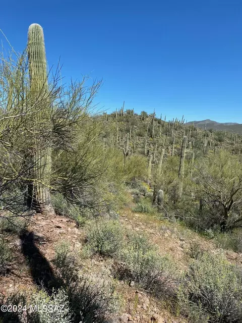 s timbaleo drive, Marana, AZ 85658