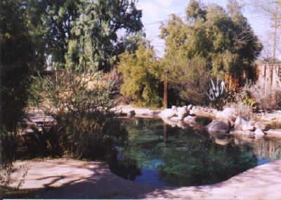 1803 E Hampton St, Tucson, AZ 85719 photo 3