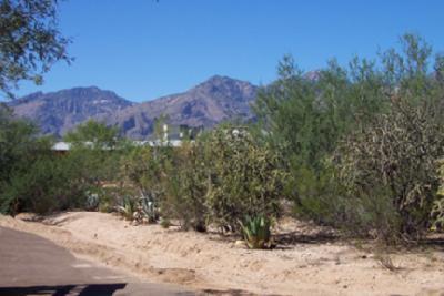 9640 Elm Tree Cir, Tucson, AZ 85749 photo 13