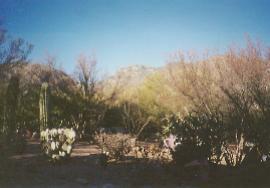 6389 N Calle Campeche, Tucson, AZ 85750 photo 2