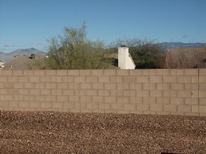 10214 E Buffaloberry Loop, Tucson, AZ 85748 photo 8
