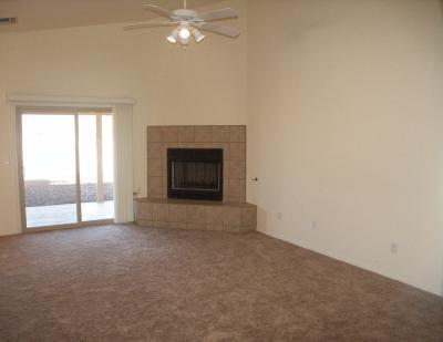 10214 E Buffaloberry Loop, Tucson, AZ 85748 photo 3