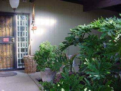 8931 E Baker St, Tucson, AZ 85710 photo 8