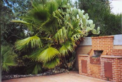 3463 E 4th St, Tucson, AZ 85716 photo 3