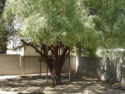 7265 E Sylvane Dr, Tucson, AZ 85710 photo 7