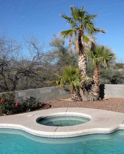 10009 Eric Alan Pl, Tucson, AZ 85748 photo 8